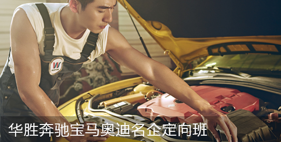 ������ѧʲôרҵ��